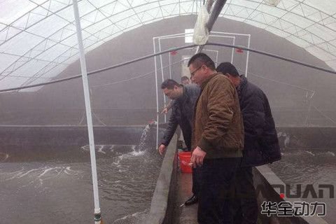 華全分享：立春時(shí)節(jié)，多寶魚養(yǎng)殖不可放松警惕