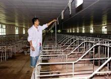 中國最大養豬場在哪里？