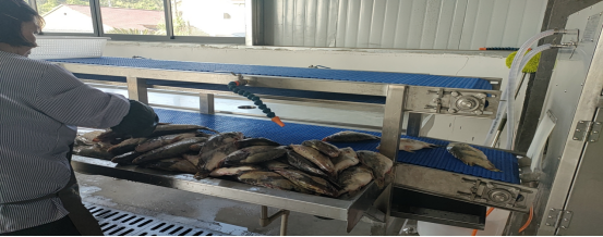 池州貴池涓橋鎮(zhèn) 加快農(nóng)業(yè)轉(zhuǎn)型升級(jí)，以特色農(nóng)副產(chǎn)品助力鄉(xiāng)村產(chǎn)業(yè)振興